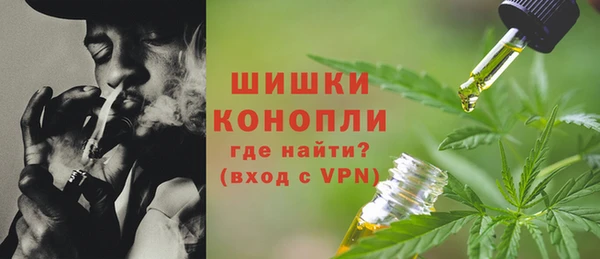 бошки Инта