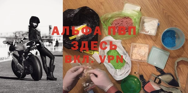 прущие грибы Арсеньев