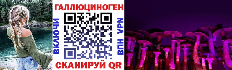 Галлюциногенные грибы мухоморы  мега онион  Новороссийск 