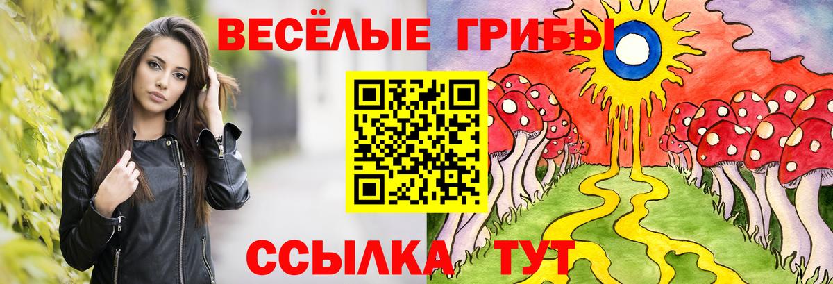 Псилоцибиновые грибы ЛСД Новороссийск