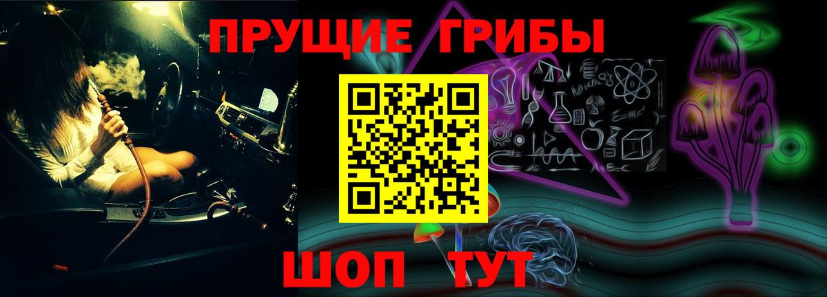 Галлюциногенные грибы GOLDEN TEACHER  Вход с VPN  Новороссийск 