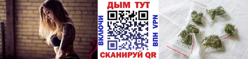 Канабис гибрид  мега зеркало  Новороссийск 